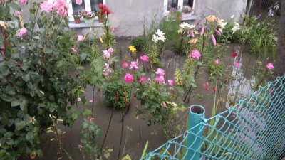 На Львівщині рятувальники відкачували воду з будинків та присадибних ділянок