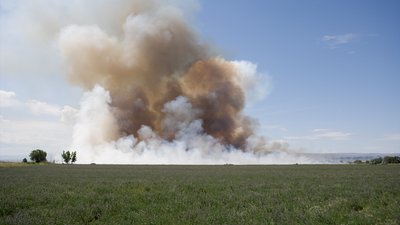 Атака на прикордоння: біля Семенівки внаслідок падіння БпЛА загорілося поле пшениці