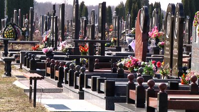 У Житомирі торгівля штучними квітами під забороною – продають живі