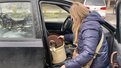 Волонтерка Ольга Коновал привезла пса з Донеччини, Тернопіль, 25 березня, 2024 Волонтерка Ольга Коновал привезла пса з Донеччини, Тернопіль, 25 березня, 2024