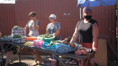На Вінниччині розпочався сезон білих грибів, лисичок та сироїжок На Вінниччині розпочався сезон білих грибів, лисичок та сироїжок