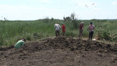 Дніпропетровщина: на околиці Самарівки проводять розкопки одного з найбільших міст Південної України