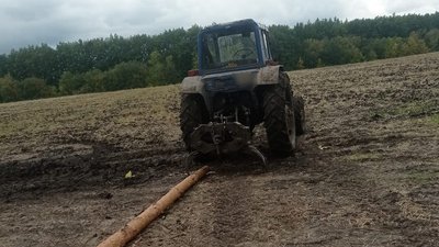 У Сумському районі п'ятеро чоловіків незаконно випилювали дерева — поліція У Сумському районі п'ятеро чоловіків незаконно випилювали дерева — поліція