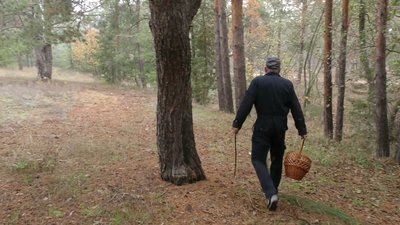 В лісах Херсонської області губляться люди