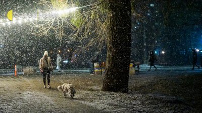 У Києві випав перший сніг. Як це виглядає У Києві випав перший сніг. Як це виглядає