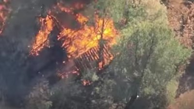 Військові Бердянського прикордонного загону знищили замасковану гармату РФ