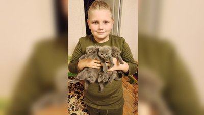 "Я її взяла і почала плакати": історія кішки Бусі, яку господарка втратила внаслідок атаки РФ і знайшла через рік "Я її взяла і почала плакати": історія кішки Бусі, яку господарка втратила внаслідок атаки РФ і знайшла через рік