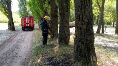 На Херсонщині сталась пожежа на території Новокаховського лісництва