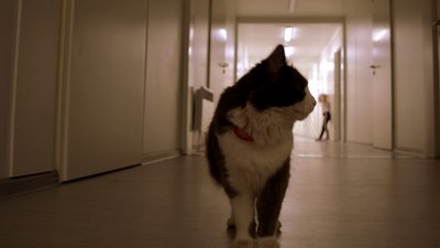 Історія дружини військового, яка дочекалася чоловіка з полону, а тепер допомагає йому в тилу, поки той на фронті Історія дружини військового, яка дочекалася чоловіка з полону, а тепер допомагає йому в тилу, поки той на фронті