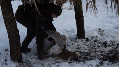 На Донеччині у заповіднику підгодовують диких тварин