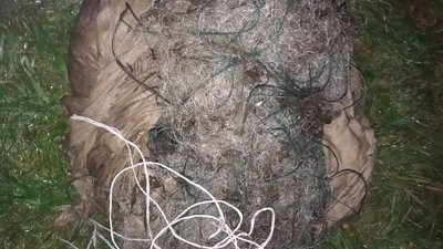 Штрафи не допомогли: на Волині вп'яте ловлять браконьєра-рибалку