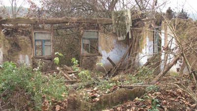 Залишки села Гамарня, яке існувало у 20-ому столітті. 11 листопада 2022 рік Залишки села Гамарня, яке існувало у 20-ому столітті. 11 листопада 2022 рік