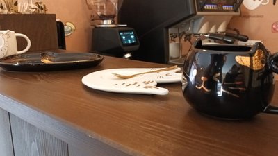 котокафе в тернополі котокафе в тернополі