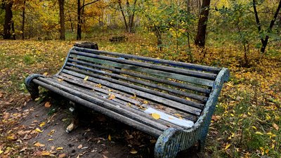 Святогірськ, Донецька область, 8 жовтня 2025 рік