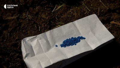На Одещині вирощуватимуть бавовну На Одещині вирощуватимуть бавовну