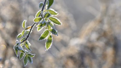 В окупованому Криму очікується мороз до -2 градусів з 10 по 12 квітня