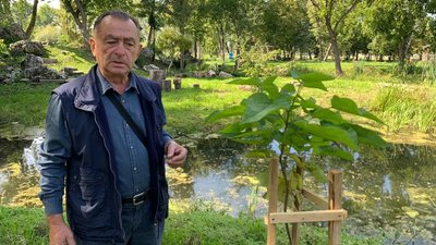 На Тернопільщині відновлюють занедбаний ботанічний сад На Тернопільщині відновлюють занедбаний ботанічний сад