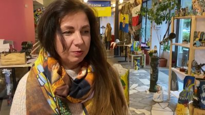 Відвідувачка виставки Олена Госнедель Відвідувачка виставки Олена Госнедель