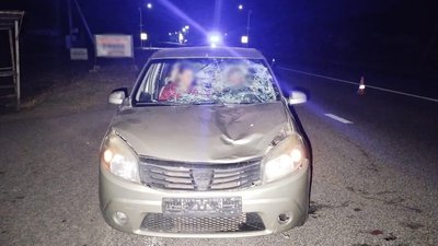 ДТП на трасі у Софіївці