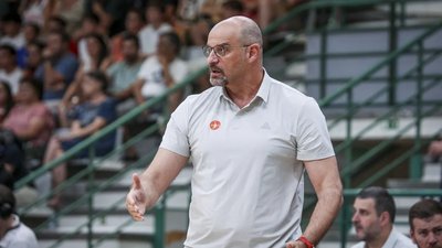 Звездан Мітрович