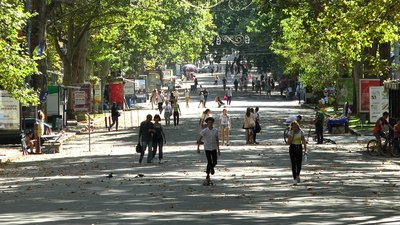 На Миколаївщині розпочав діяти новий поділ на карантинні зони