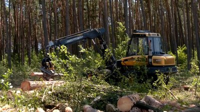 "Лісовий комбайн": на Рівненщині механізували заготівлю деревини