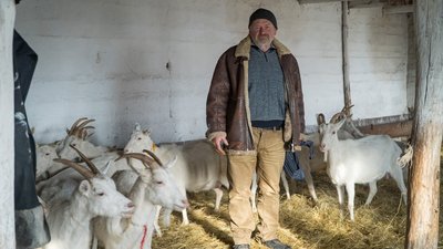 Кози, фермер, сир, Дніпропетровщина