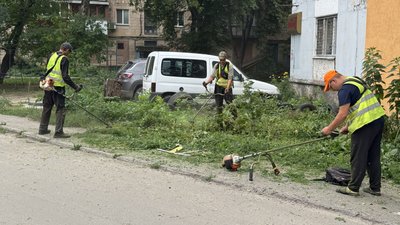 У Полтаві витратять майже 3 мільйонів на покіс трави