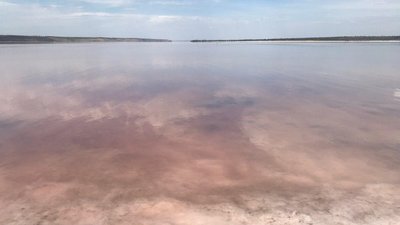 Куяльницький лиман, що на Одещині, став рожевим, що стало причиною Куяльницький лиман, що на Одещині, став рожевим, що стало причиною