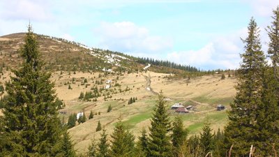 Полонина, Карпати, суд, бійка, штраф, конфлікт, суперечка, Верховинщина