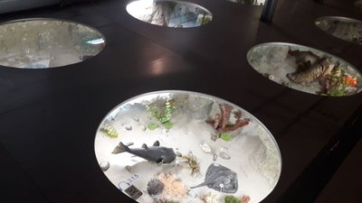 У Херсоні музей природи відкрився після ремонту У Херсоні музей природи відкрився після ремонту