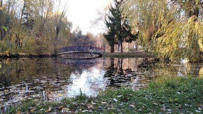 На Тернопільщині у 466 осіб підтвердили COVID-19 за добу