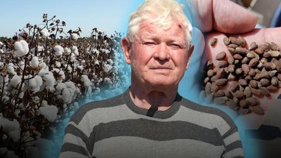 Аграрії випробовують нову культуру