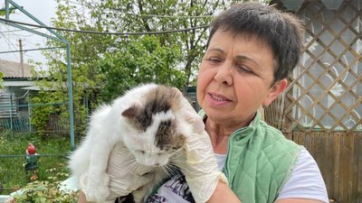 Їх покинули господарі: у притулку в Миколаївській області живе понад 200 тварин Їх покинули господарі: у притулку в Миколаївській області живе понад 200 тварин
