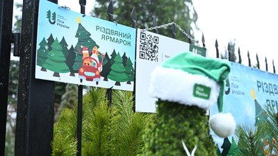 Ялинова кампанія на Волині, 19 грудня 2025 року