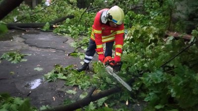 Повалені дерева й застряглі авто. У Дніпрі ліквідовували наслідки негоди