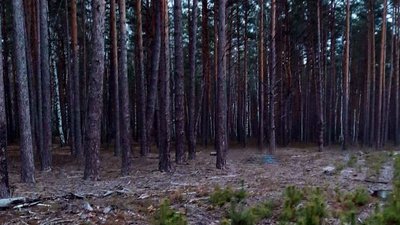 На Рівненщині чоловік на полюванні застрелив знайомого, бо прийняв за косулю – поліція