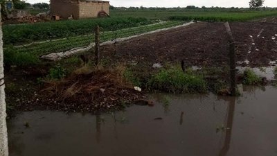 Затоплені городи, розмиті дороги: на Херсонщині дощить Затоплені городи, розмиті дороги: на Херсонщині дощить