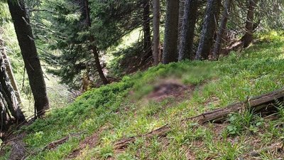 Поблизу кордону з Румунією знайшли тіло людини