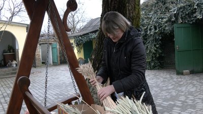 "Хто любить в'язати чи вишивати, рахують хрестики, а я рахую колосочки": майстриня з Волині 15 років плете дідухи "Хто любить в'язати чи вишивати, рахують хрестики, а я рахую колосочки": майстриня з Волині 15 років плете дідухи