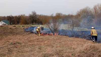 Житомир, ДСНС, палії трави, пожежа, квітень 2024 року
