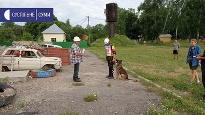 На Сумщині атестують собак із кінологічних підрозділів України На Сумщині атестують собак із кінологічних підрозділів України