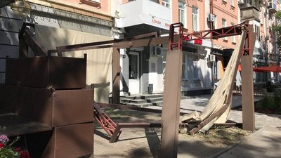 Дерево, яке впало на літній майданчик кафе у Полтаві, було аварійним – Декоративні культури