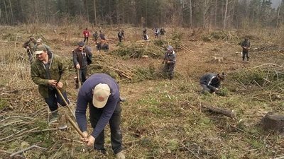 Прикарпатці долучилися до всеукраїнської акції "Мільйон дерев за добу" Прикарпатці долучилися до всеукраїнської акції "Мільйон дерев за добу"
