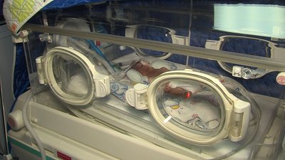 З початку війни у Запоріжжі народилося 179 дітей