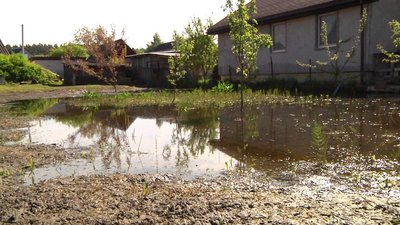 Вода у дворах і дикі качки на затоплених городах у селі на Житомирщині: що кажуть місцеві жителі та як реагує влада Вода у дворах і дикі качки на затоплених городах у селі на Житомирщині: що кажуть місцеві жителі та як реагує влада
