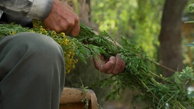 1500 букетів з польових квітів: історія 71-річного майстра з Рівного 1500 букетів з польових квітів: історія 71-річного майстра з Рівного