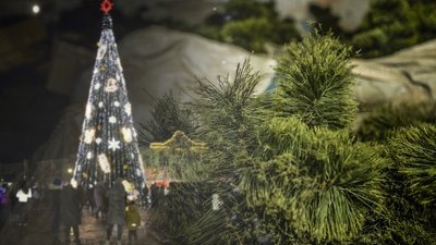 Ялинка у Чернігові та ковзанка: як зберігають ілюмінацію та святкові прикраси