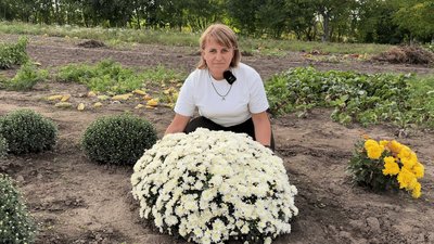 Наталія Шейдик із кущем білих хризантем
