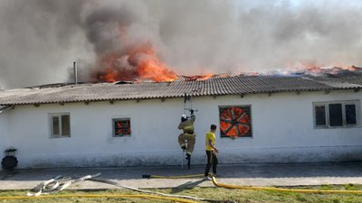 На Івано-Франківщині горить птахоферма На Івано-Франківщині горить птахоферма